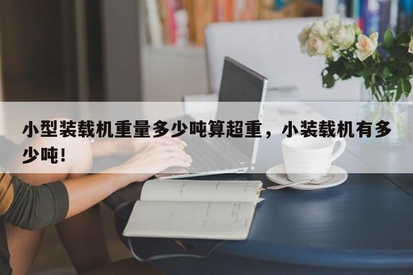 小型裝載機(jī)重量多少噸算超重，小裝載機(jī)有多少噸！
