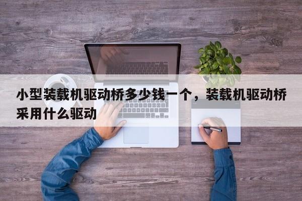 小型裝載機(jī)驅(qū)動(dòng)橋多少錢(qián)一個(gè)，裝載機(jī)驅(qū)動(dòng)橋采用什么驅(qū)動(dòng)