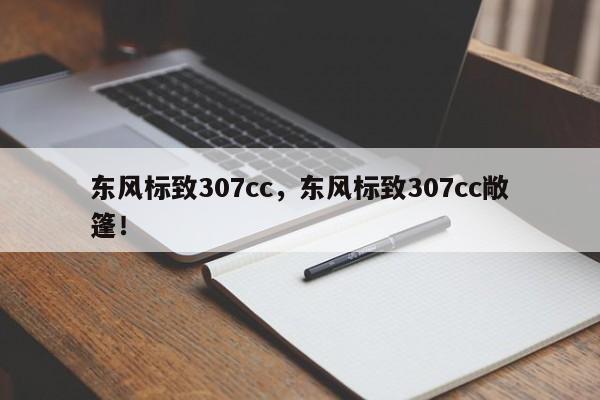 東風(fēng)標(biāo)致307cc，東風(fēng)標(biāo)致307cc敞篷！