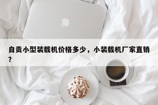 自貢小型裝載機(jī)價格多少，小裝載機(jī)廠家直銷？