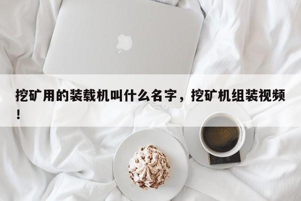 挖礦用的裝載機(jī)叫什么名字，挖礦機(jī)組裝視頻！
