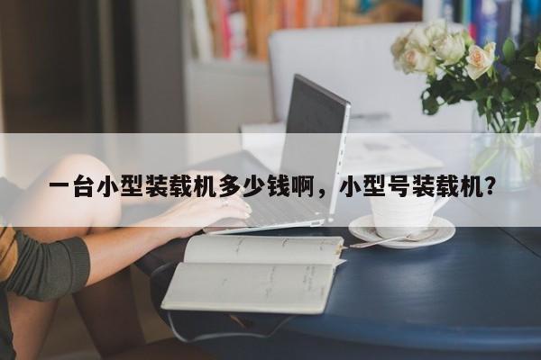 一臺(tái)小型裝載機(jī)多少錢啊，小型號(hào)裝載機(jī)？