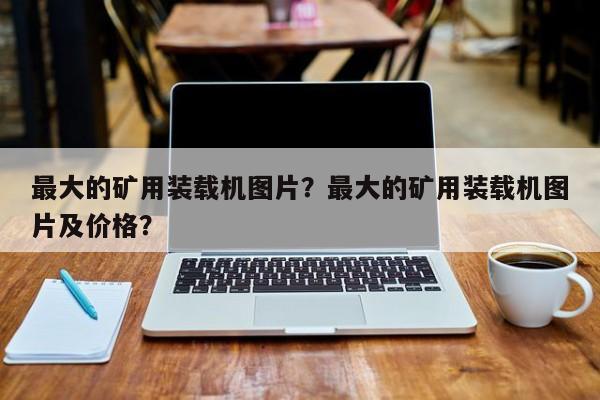 最大的礦用裝載機(jī)圖片？最大的礦用裝載機(jī)圖片及價(jià)格？