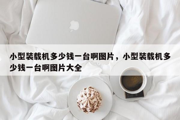 小型裝載機(jī)多少錢一臺(tái)啊圖片，小型裝載機(jī)多少錢一臺(tái)啊圖片大全