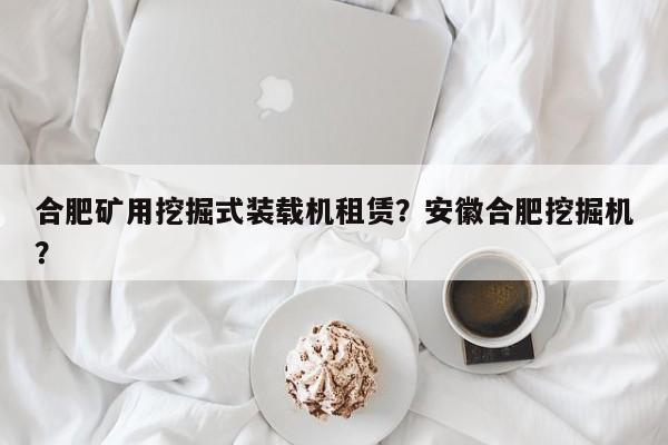 合肥礦用挖掘式裝載機租賃？安徽合肥挖掘機？