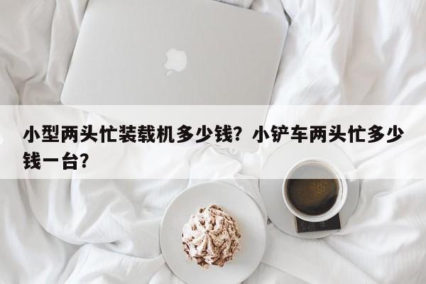 小型兩頭忙裝載機(jī)多少錢(qián)？小鏟車(chē)兩頭忙多少錢(qián)一臺(tái)？