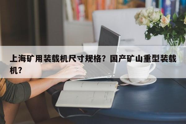 上海礦用裝載機(jī)尺寸規(guī)格？國產(chǎn)礦山重型裝載機(jī)？