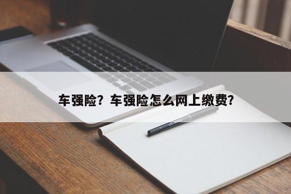 車強(qiáng)險？車強(qiáng)險怎么網(wǎng)上繳費？