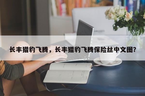 長豐獵豹飛騰，長豐獵豹飛騰保險絲中文圖？