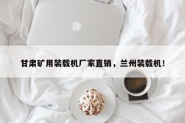 甘肅礦用裝載機廠家直銷，蘭州裝載機！