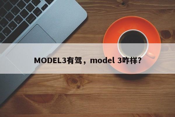 MODEL3有駕，model 3咋樣？