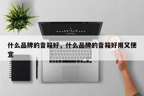 什么品牌的音箱好，什么品牌的音箱好用又便宜