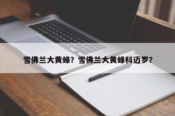 雪佛蘭大黃蜂？雪佛蘭大黃蜂科邁羅？
