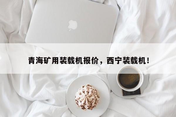 青海礦用裝載機(jī)報(bào)價(jià)，西寧裝載機(jī)！