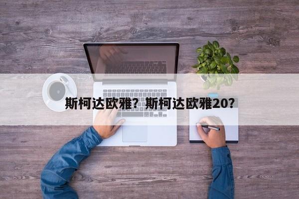 斯柯達(dá)歐雅？斯柯達(dá)歐雅20？
