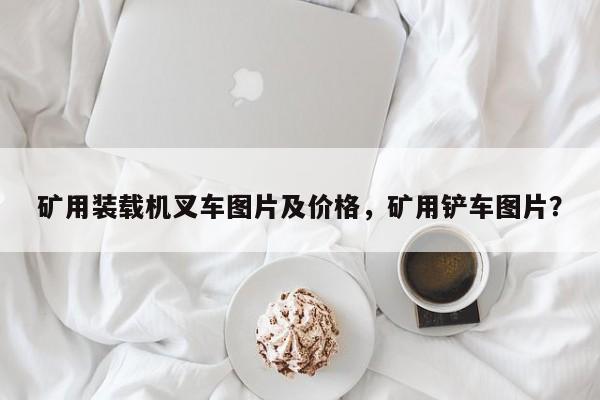 礦用裝載機叉車圖片及價格，礦用鏟車圖片？