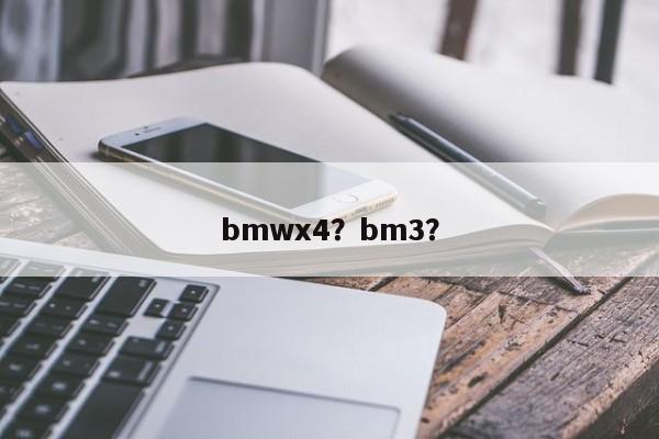 bmwx4？bm3？