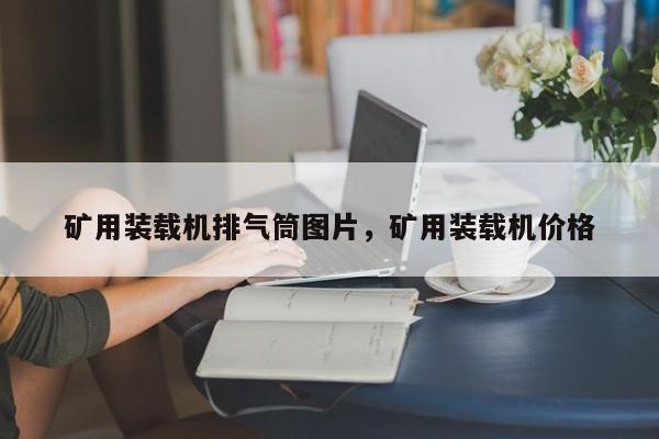礦用裝載機(jī)排氣筒圖片，礦用裝載機(jī)價(jià)格