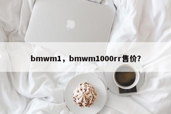 bmwm1，bmwm1000rr售價？
