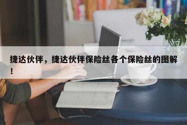 捷達(dá)伙伴，捷達(dá)伙伴保險(xiǎn)絲各個(gè)保險(xiǎn)絲的圖解！