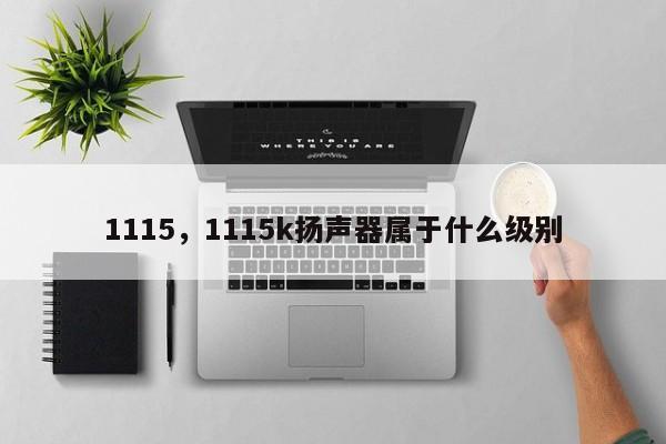 1115，1115k揚聲器屬于什么級別