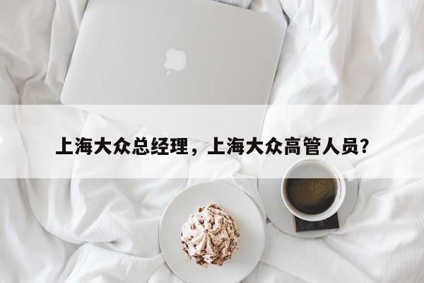 上海大眾總經(jīng)理，上海大眾高管人員？